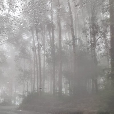 ഇതൾ