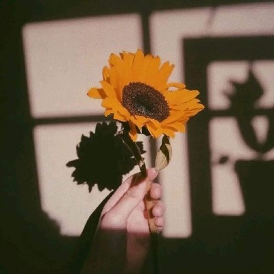 🖤চন্দন🖤