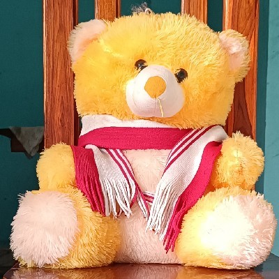 ప్రేమ్ కుమార్ కొత్తూరి