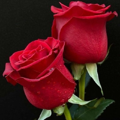 മേഘകന്യ