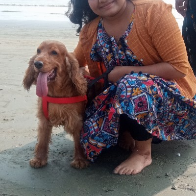 Dreamgirl সাথী