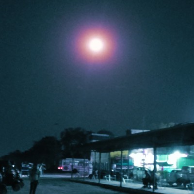 Shree श्री "Shree"