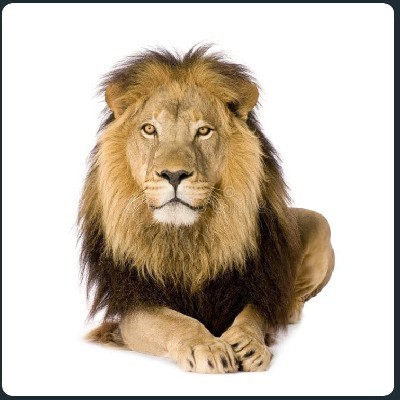 കൗസു "കൗസൂട്ടി"