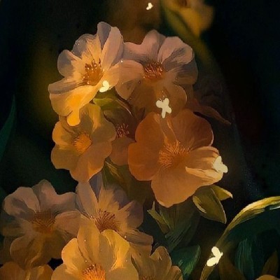 Miss Introvert Writer "Miss Sahoo"