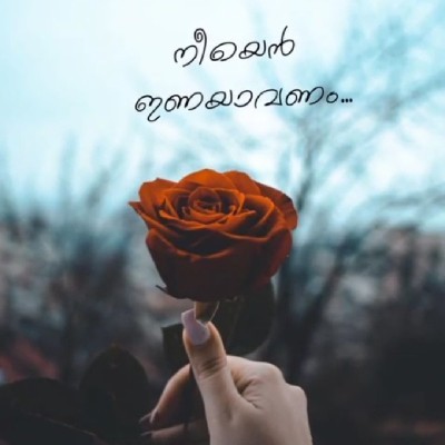Rabi lathu "❤️Rabi❤️"