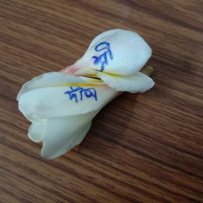 মেঘবর্ণা ভৌমিক