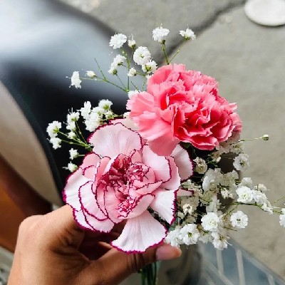 ਡਾ. ਰਮਨਦੀਪ ਕੌਰ 🐱👩‍⚕️