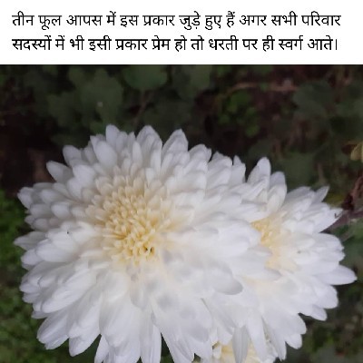 Shiv kruti Knowledge point