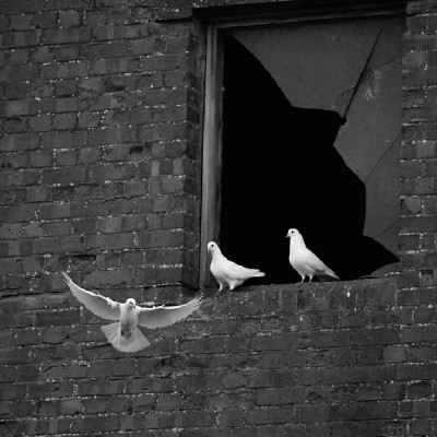 نہاں|Neha Mitegar