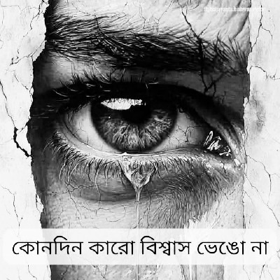 আঘাত কবি