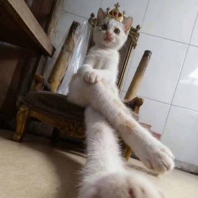 ইভানা "🎀"