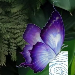 നൈനിലാവ് 💜🪻