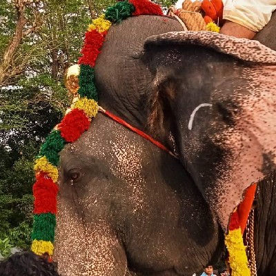 ആലിബാബ "ആലിബാബ"