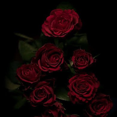 ബിൻത് മുഹമ്മദ്‌ "നിഹാരം❄️❄️❄️"