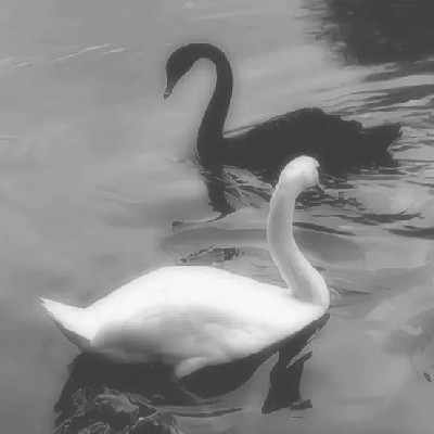 বিহারী