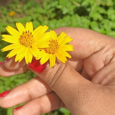 Radha🌼🍃