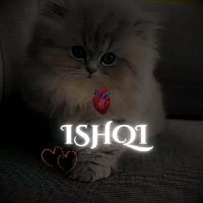 Ishqi