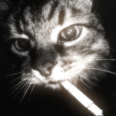 Shahina khan "Sahiba"