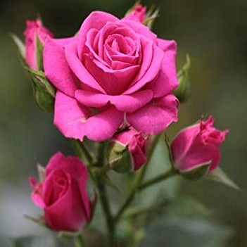 🥰💕Nidhi nidhi 🥰💞