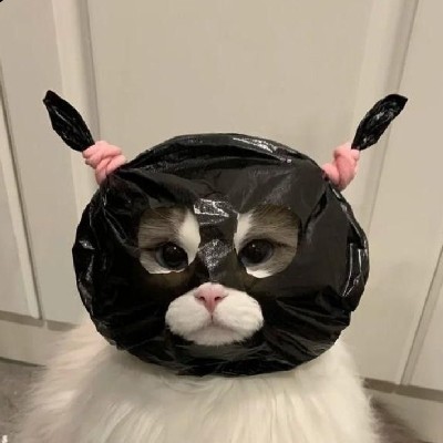 Aesthetic Bi_me "Mochi"