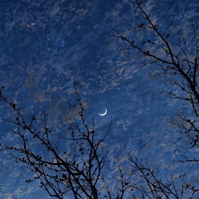 Unique Writer✍🏻 "AK"