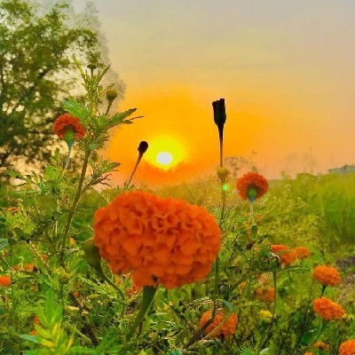 🅢︎🅤︎🅙︎🅐︎🅣︎🅗︎🅐︎ 🅟︎🅐︎🅣︎🅔︎🅛︎