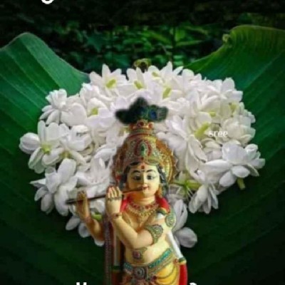 മാളു വിനീത് "🥰മാളുസ് 🥰"