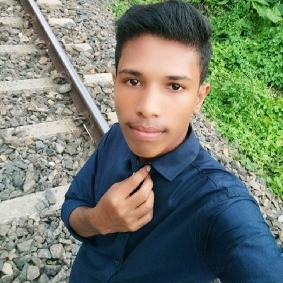 Animesh Roy