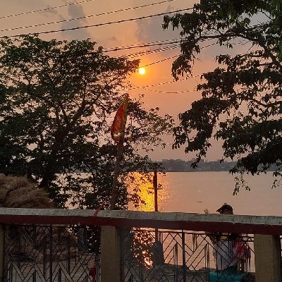 পিপিলিকা