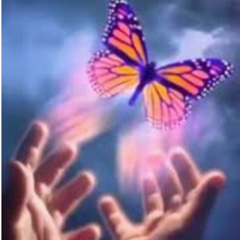 വർണ്ണ ശലഭം🦋