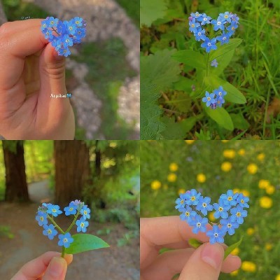 কুঞ্জমালা