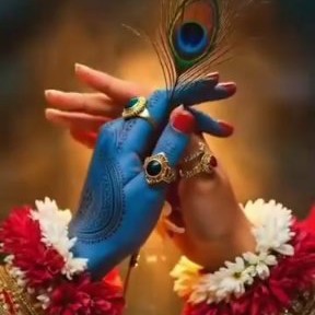 Morpankhi swapna 🦚