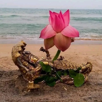 സീത ലക്ഷ്മി