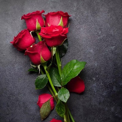"ᴱᵛᵉʳʸᵗʰⁱⁿᵍ ❤️‍🩹🥀"