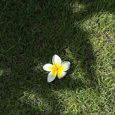 അഭ🌼