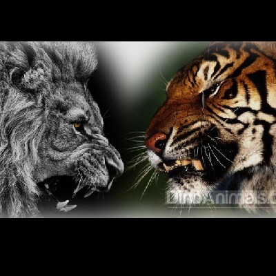 ஐஸ்வர்யா "திரபா"