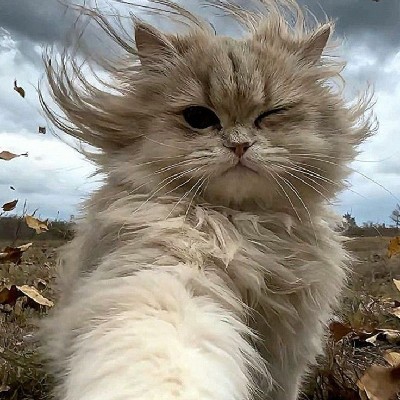 सिया कि दुनिया 😉 "Siyu” 😉"