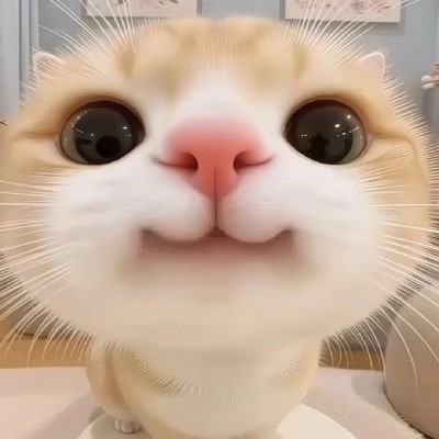 सिया कि दुनिया 😉 "Siyu” 😉"