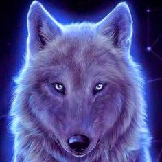 Hunter Wolf