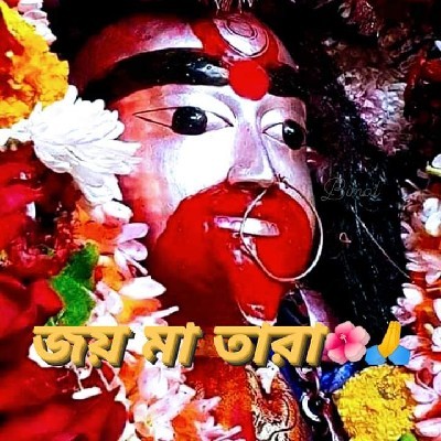 Suchetana BanerJee