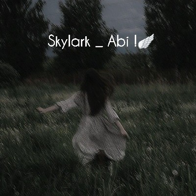 அபிராமி சரவணன்