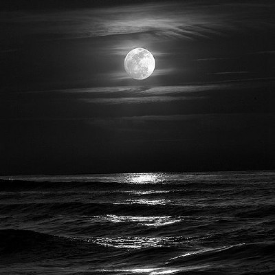 SHEWRITES _here "Lekhika 🍁"