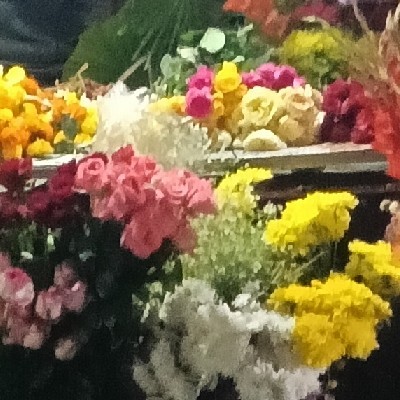 🕊𝐬𝐰𝐞𝐞𝐭 𝑨𝒏𝒈𝒍𝒆🪄 "হিয়া"