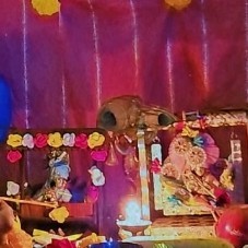 Kapila Mali