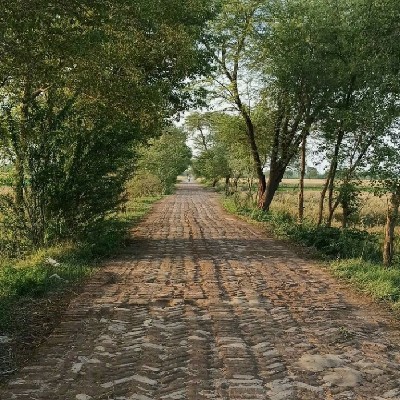 ਤਹਿਜ਼ੀਬ