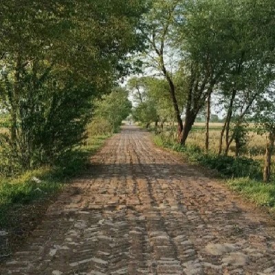 ਤਹਿਜ਼ੀਬ