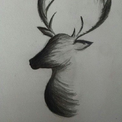 കാശി "നാഥ്"