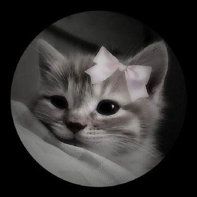 ( The little author ) ✨🎀