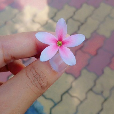𝓐𝓷𝓪𝓶𝓲𝓴𝓪 ✨