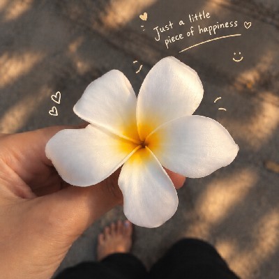 𝓐𝓷𝓪𝓶𝓲𝓴𝓪 ✨